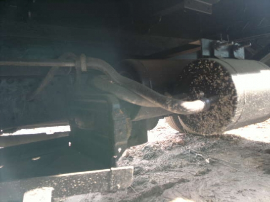 ขายรถ 6 ล้อ ดั้ม กระบะเนียมคอกเกษตร MITSUBISHI FL100 รถสวย