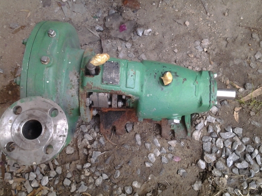 ขายปั้มน้ำแสตนเลสขนาด นิ้วครึ่ง ราคา 2,500