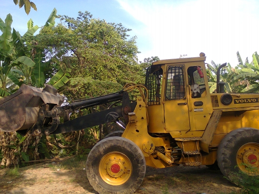 ขายรถตักVOLVO BM