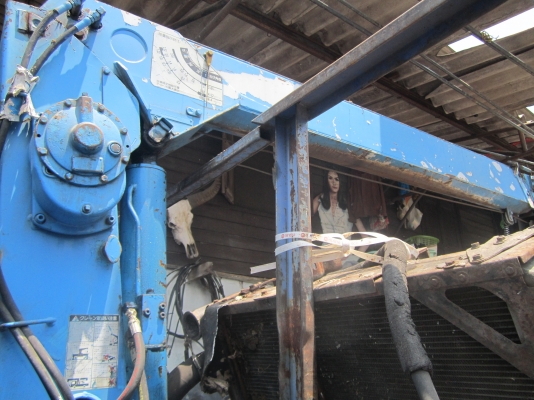 NPRหัวการ์ตูน130แรงโบ-เครนTADANO2.5ตันท้องV NPRหัวการ์ตูน130แรงโบ-เครนTADANO2.5ตันท้องV