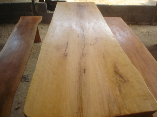 มาด้วยกันไปด้วยกัน  ช่วยซื้อผมด้วยครับ  ขาย8900บาท