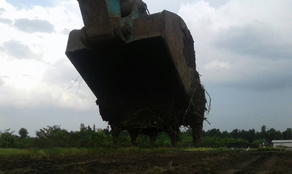 ขายรถแบ็คโฮ KOBELCO SK200-8 Yn12 Super ใช้งาน 12,8xx ชั่วโมง สภาพดี พร้อมใช้งาน ขายรถแบ็คโฮ KOBELCO SK200-8 Yn12 Super ใช้งาน 12,8xx ชั่วโมง สภาพดี พร้อมใช้งาน