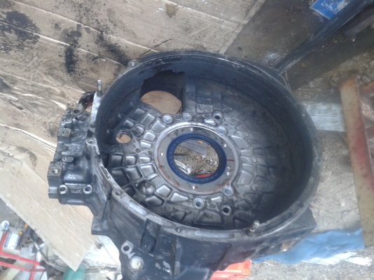 หัวหมูครัช15นิ้ว6m60