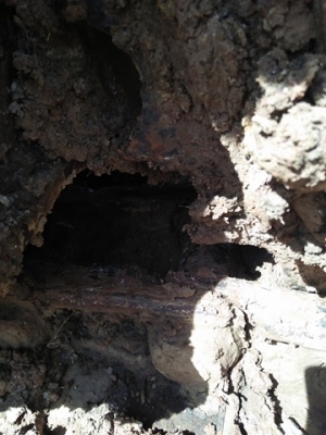 ขาย hitachi ex200-1 ขาย hitachi ex200-1