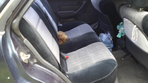 เครื่องหัวฉีด 2000cc ออโต้พาวเว่อกระจกไฟฟ้า แก๊ส LPGแจ้งลงเล่มภาษี 61 แอไม่เย็น ขายตามสภาพ เครื่องหัวฉีด 2000cc ออโต้พาวเว่อกระจกไฟฟ้า แก๊ส LPGแจ้งลงเล่มภาษี 61 แอไม่เย็น ขายตามสภาพ