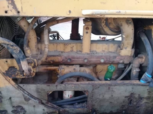 ขาย 395,000 บาท CATTERPILAR D5D ตีนเป็ด เครื่องดี เกียร์แรง เอกสารชื้อขาย รถอยู่ จ.สมุทรปราการ โทร&ไอดีไลน์ 0610710295 ขาย 395,000 บาท CATTERPILAR D5D ตีนเป็ด เครื่องดี เกียร์แรง เอกสารชื้อขาย รถอยู่ จ.สมุทรปราการ โทร&ไอดีไลน์ 0610710295