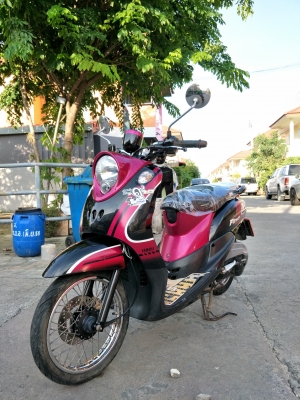 Fino