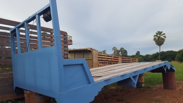 โทร 081-7855503