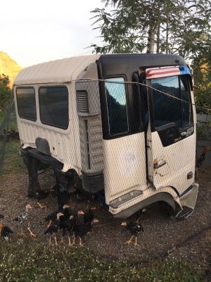 ขายหัวโปรเฟียร์ด่วน