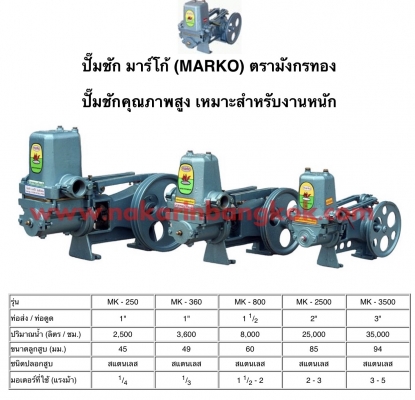 ขาย ปั้มชัก มาร์โก้(Makro) มังกรทอง 2 นิ้ว คุณภาพสูง เหมาะกับงานหนัก ของใหม่