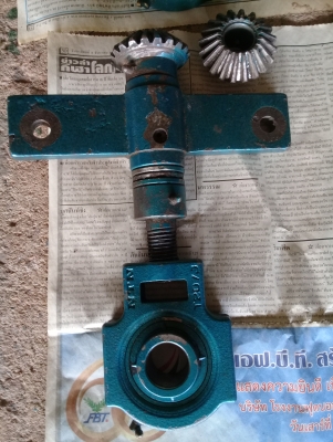 ตลับลูกปืนพร้อมชุดปรับตั้งแบบเฟืองขับ