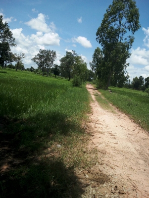 ขายทีนา 9 ไร่ เขต ต.กุดเมืองฮาม อ.ยางชุมน้อย จ.ศรีสะเกษ มีทางเข้า- ออกสะดวก หน้า กร้วง 60-70 เมตร ที