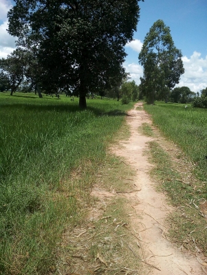 ขายทีนา 9 ไร่ เขต ต.กุดเมืองฮาม อ.ยางชุมน้อย  จ.ศรีสะเกษ  มีทางเข้า-  ออกสะดวก หน้า กร้วง 60-70 เมตร ทีเหมาะ  ทำนาได้ผลิดทุกปี  น้ำไม่ท่วม ราคา ไร่ละ 170000  บาท   ประเมิน ราคาได้ไร่ 200000 บาท ขายตอนนี้     (ขายพร้อมข้าวด้วยคับ...)..    สอบถาม วันทูคอล 0