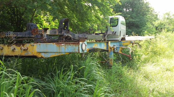 หางก้างปลาขายตามสภาพครับ