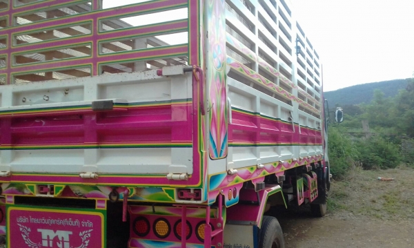 ขายอีซุ210ดั้มสวยๆครับ