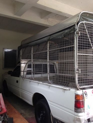 ขายคอกหลังคาสูงกระบะอีชูชุด่วนๆ ตอนเดียว ราคาถูกๆ 0824894182