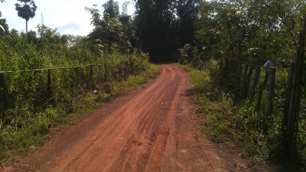 สวนยาง สวนยาง