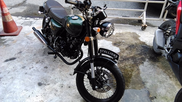 ขาย stallian centure150