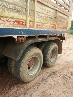 ขายดาว 340 giga