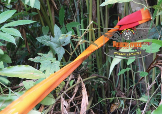 เชือกลาก เชือกคล้องวินซ์ 3 ตัน 6 เมตร 9 เมตร