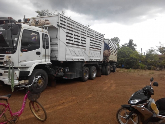 ขายisuzu 320 dega ปี51 แม็คโลด