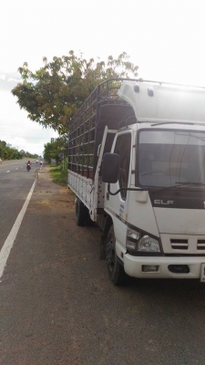 ขาย NPR 130 แรงปี '50 กระบะ 5 เมตร พร้อมคอกเหล็กสวยๆ ขาย 585,000- ขาย NPR 130 แรงปี '50 กระบะ 5 เมตร พร้อมคอกเหล็กสวยๆ ขาย 585,000-