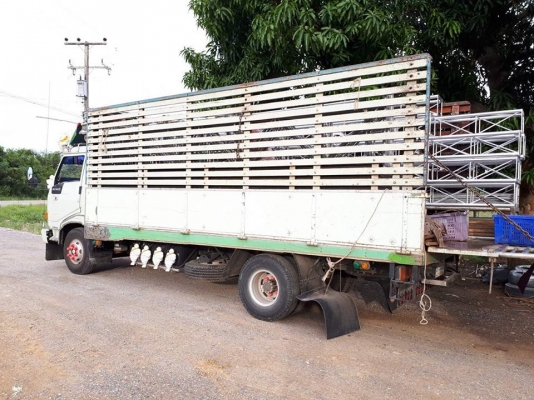 ขายรถ6ล้อ