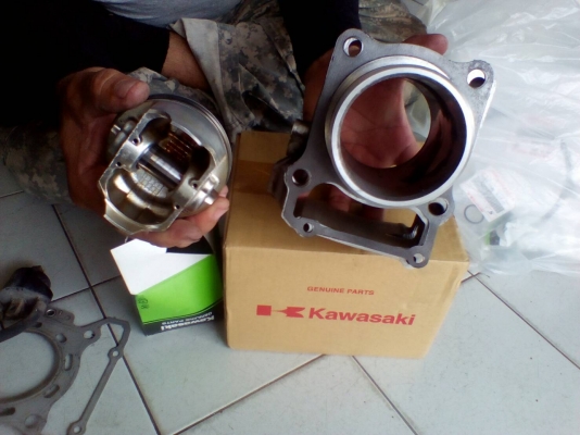 อะไหล่คาวาซากิ ดีแทกเกอร์250cc