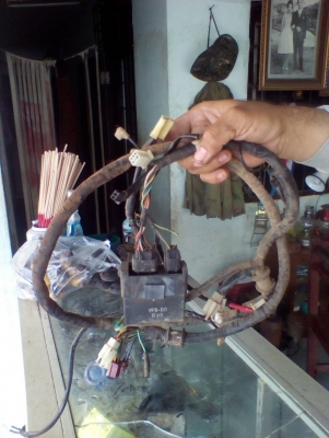 สายไฟและกล่องไฟฟีโนเกย์แยก