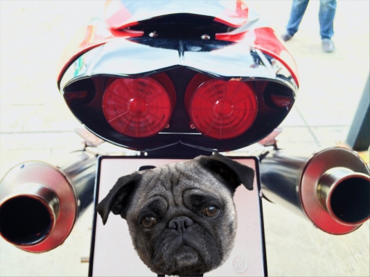 Aprilia RSV1000 Mille R 2002