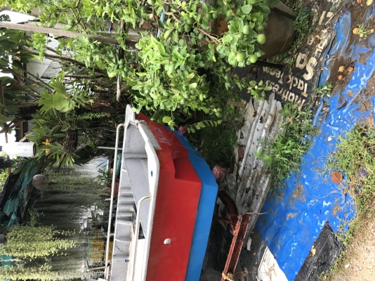 ขายเรือไฟเบอร์ 16 ฟุต พร้อมเทเลอร์