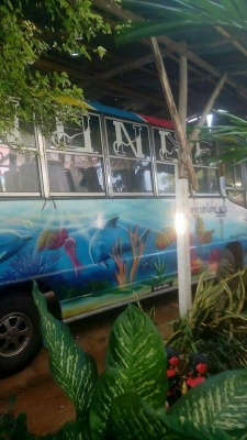 รถบัสอีซุ 175