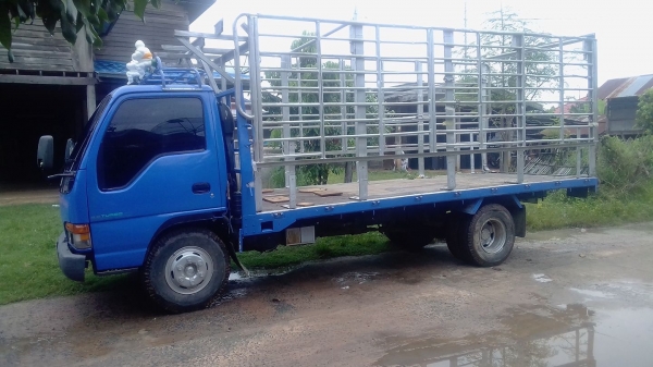 ขายกระบะคาโก้ขอ ISZUSU NPR 120 ขนาด 5.20 เมตร ความของแคสซีกว้าง 74 cm