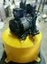 ปั๊ม Mitsubishi 255 QS