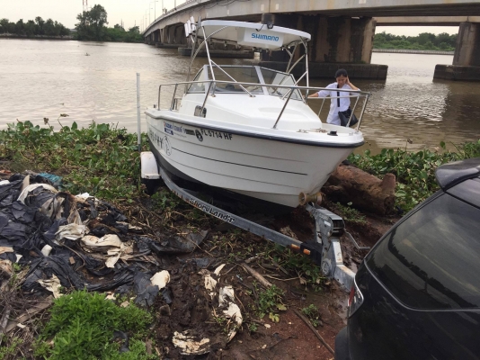 เรือ Trophy 1802 Walkaround