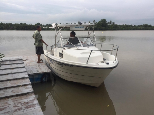 เรือ Trophy 1802 Walkaround