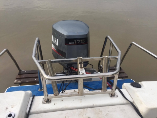 เรือ Trophy 1802 Walkaround