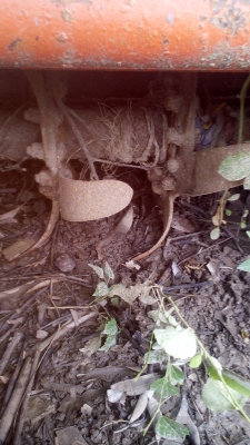 โลตารีรถไถ160ชม