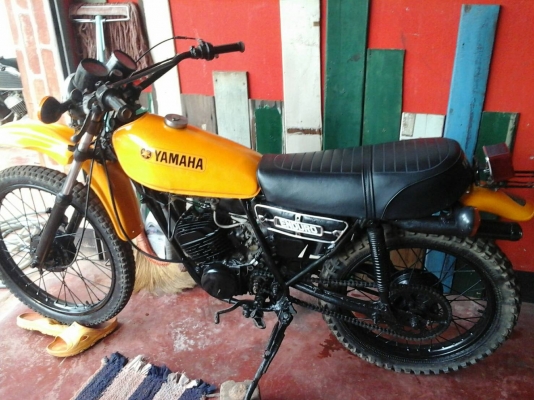 ขายdt100