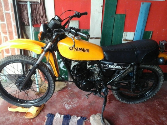 ขายdt100