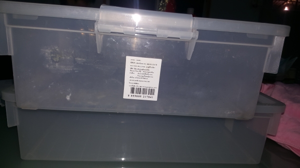 ขายกล่องพลาสติกขนาด 50.5x35x12.5 ซ.ม.ราคาใบละ 150 บาทมีประมาณ 100 ใบ ขายกล่องพลาสติกขนาด 50.5x35x12.5 ซ.ม.ราคาใบละ 150 บาทมีประมาณ 100 ใบ