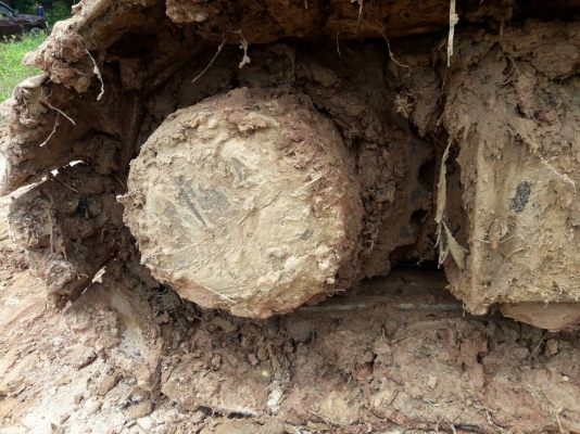 ขายด่วน โคมัสสุ PC100-5 ไฟฟ้าเต็ม แอรหนาว เอวแน่น เครื่องดี ปั้มดี สภาพพร้อมใช้