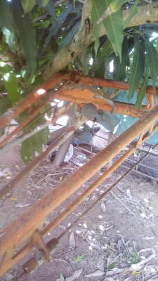 รถไถเดินตามย้นมาร์12แรง