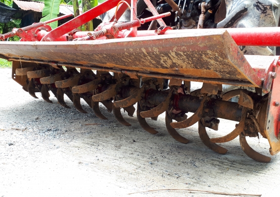 โรตาลี่โชคชัย 2เมตร พร้อมยอยครับ