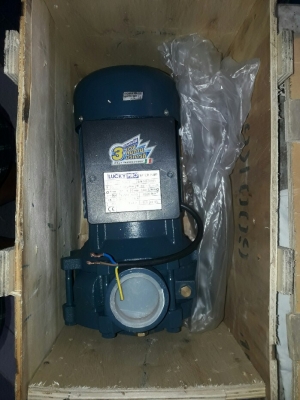 ขาย ปั้มน้ำ หอยโข่ง ลักกี้โปร ขนาด 2 นิ้ว 2 แรง 2 ใบพัดทองเหลือง