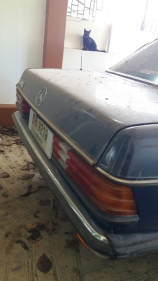 ขายเบ็นซ์123