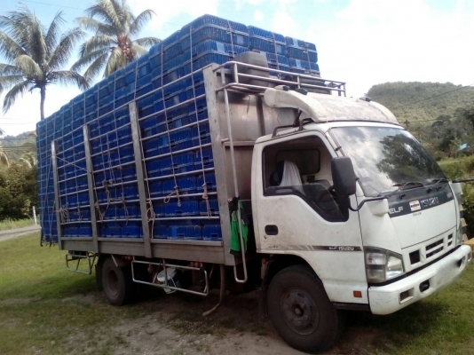 รถอีซูซู 6 ล้อ ( ไม่ดั้ม ) NPR 130 แรงม้า. ปี 51. สนใจติดต่อ 081 - 6079515