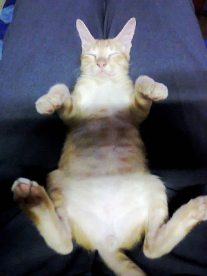 rxs  สวย  แดงๆร้อน