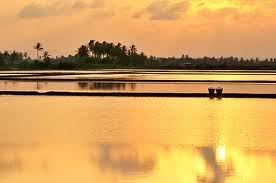 ขายที่ดิน พระราม 2 กม . 50 สมุทรสาคร มี 120 ไร่ ติดถนนใหญ่