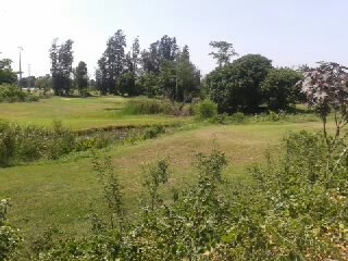 ที่ดิน คลองสระ 2 ไร่ 3 งาน วงแหวนตะวันตก เส้น บางใหญ่-บางประอิน